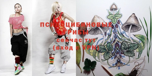 Альфа ПВП Арсеньев