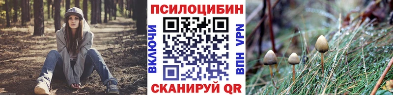 Галлюциногенные грибы Psilocybe  Купить закладки  Петровск 